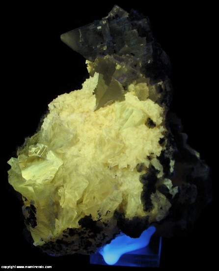 Fluorescent Mineral Specimen: Twinned Calcite from Basalt Quarry, Ambariomiambana, Sambava District, Sava Region, Antsiranana Province, Madagascar Fluorescent Mineral Specimen: Twinned Calcite from Basalt Quarry, Ambariomiambana, Sambava District, Sava Region, Antsiranana Province, Madagascar