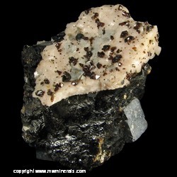 Mineral Specimen: Ruby Jack Sphalerite on Dolomite, Black Sphalerite, Galena from Tri State District, Joplin, Missouri