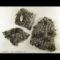 Mineral Specimen: Quartz, Sphalerite, Calcite, Fluorite, Bitumen from Cave-In-Rock, Hardin Co., Illinois