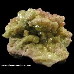 Mineral Specimen: Vesuvianite (Bicolor) from Jeffrey Mine, Asbestos, Les Sources RCM, Estrie, Quebec, Canada Mineral Specimen: Vesuvianite (Bicolor) from Jeffrey Mine, Asbestos, Les Sources RCM, Estrie, Quebec, Canada