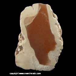 Mineral Specimen: Polished Datolite Nodule from Clark Mine, Copper Harbor, Keweenaw County, Michigan