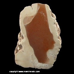 Mineral Specimen: Polished Datolite Nodule from Clark Mine, Copper Harbor, Keweenaw County, Michigan Mineral Specimen: Polished Datolite Nodule from Clark Mine, Copper Harbor, Keweenaw County, Michigan