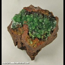 Mineral Specimen: Cuprian Austinite from Mina Ojuela, Mapimi, Durango, Mexico Mineral Specimen: Cuprian Austinite from Mina Ojuela, Mapimi, Durango, Mexico