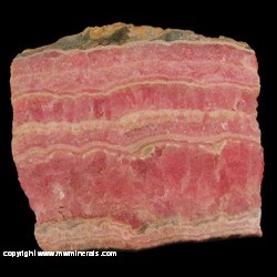 Mineral Specimen: Rhodochrisite Slab (unpolished) from Caramarca, Argentina Mineral Specimen: Rhodochrisite Slab (unpolished) from Caramarca, Argentina