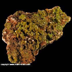 Minerals Specimen: Pyromorphite from Daoping Mine, Gongcheng Co., Guilin Prefecture, Guangxi Zhuang AR., China Minerals Specimen: Pyromorphite from Daoping Mine, Gongcheng Co., Guilin Prefecture, Guangxi Zhuang AR., China