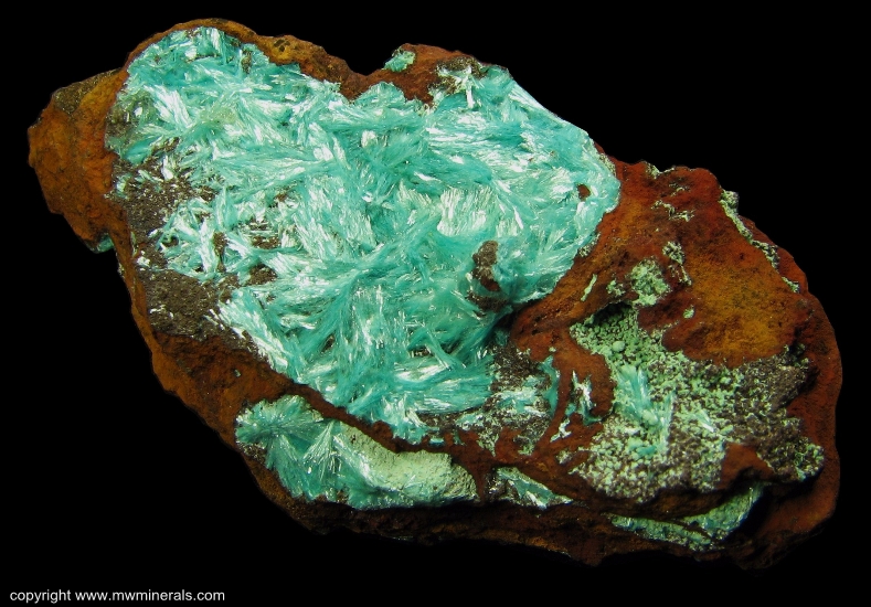 Mineral Specimen: Aurichalcite from Mina Ojuela, Mapimi, Durango, Mexico
