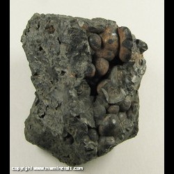 Minerals Specimen: Psilomelane from Rossbach, Biedenkopf, Hessen-Nassau, Preussen, Germany Minerals Specimen: Psilomelane from Rossbach, Biedenkopf, Hessen-Nassau, Preussen, Germany