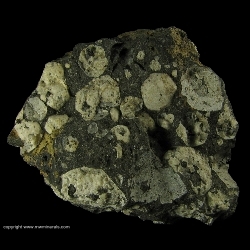 Minerals Specimen: Leucite from Poggio Nibbio, Vico Lake, Viterbo Province, Latium, Italy Minerals Specimen: Leucite from Poggio Nibbio, Vico Lake, Viterbo Province, Latium, Italy
