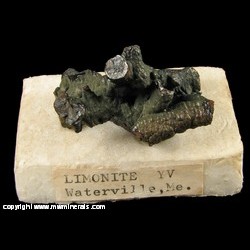 Mineral Specimen: Limonite from Waterville, Kennebec Co., Maine Mineral Specimen: Limonite from Waterville, Kennebec Co., Maine