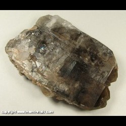 Mineral Specimen: Smoky Tabluar Quartz from Jefferson Co., Colorado