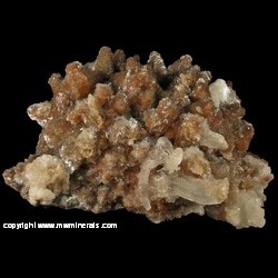 Minerals Specimen: Rams Horn Gypsum, Calcite Coated with Selenite from Chihuahua, Mexico Minerals Specimen: Rams Horn Gypsum, Calcite Coated with Selenite from Chihuahua, Mexico