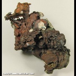 Minerals Specimen: Silver on Copper Crystals Haflbreed from Mohawk Mine, Mohawk, Keweenaw Co., Michigan Minerals Specimen: Silver on Copper Crystals Haflbreed from Mohawk Mine, Mohawk, Keweenaw Co., Michigan
