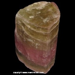 Mineral Specimen: Double Terminated, Multi Colored Tourmaline from Himalaya Mine, San Diego Co., Arizona