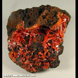 Mineral Specimen: Crocoite on Goethite from Red Lead Mine, Dundas, Tasmania, Australia Mineral Specimen: Crocoite on Goethite from Red Lead Mine, Dundas, Tasmania, Australia