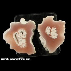 Minerals Specimen: Polished Datolite Nodule Pair from Mandan Gravel Pit, Keweenaw Co., Michigan Minerals Specimen: Polished Datolite Nodule Pair from Mandan Gravel Pit, Keweenaw Co., Michigan