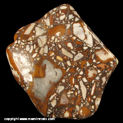 Mineral Specimen: Tennessee Pudding Stone from Eastern Tennessee Mineral Specimen: Tennessee Pudding Stone from Eastern Tennessee
