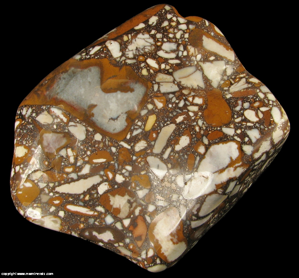 Mineral Specimen 4560 Tennessee Pudding Stone from Eastern Tennessee for sale M & W Minerals