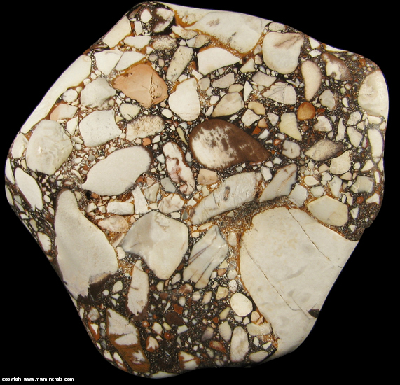 Mineral Specimen 4560 Tennessee Pudding Stone from Eastern Tennessee