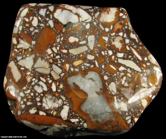 Mineral Specimen 4560 Tennessee Pudding Stone from Eastern Tennessee for sale M & W Minerals