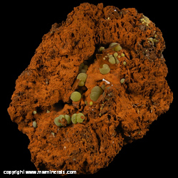 Mineral Specimen: Wulfenite and Mimetite from Mina Ojuela, Mapimi, Durango, Mexico Mineral Specimen: Wulfenite and Mimetite from Mina Ojuela, Mapimi, Durango, Mexico