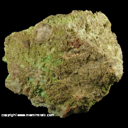 Mineral Specimen: Garnierite (Mix of Nickel Silicates likely containing Pecoraite) from Riddle Mine Riddle, Riddle District, Douglas Co., Oregon Mineral Specimen: Garnierite (Mix of Nickel Silicates likely containing Pecoraite) from Riddle Mine Riddle, Riddle District, Douglas Co., Oregon