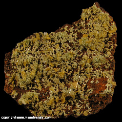 Minerals Specimen: Wulfenite, Mimetite from Mina Ojuela, Mapimi, Durango, Mexico