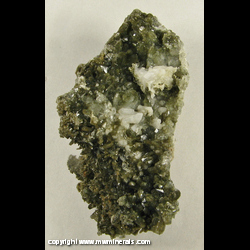 Minerals Specimen: Green Quartz (Included Hedenbergite), Hendenbergite, Calcite, Pyrite from Mina San Antonio, East Camp, Santa Eulalia Dist., Mun. de Aquiles Serdan, Chihuahua, Mexico Minerals Specimen: Green Quartz (Included Hedenbergite), Hendenbergite, Calcite, Pyrite from Mina San Antonio, East Camp, Santa Eulalia Dist., Mun. de Aquiles Serdan, Chihuahua, Mexico