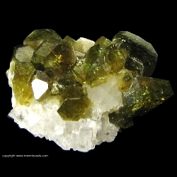 Minerals Specimen: Pleochroic Uvite Tourmaline from Brumado. Bahia, Brazil