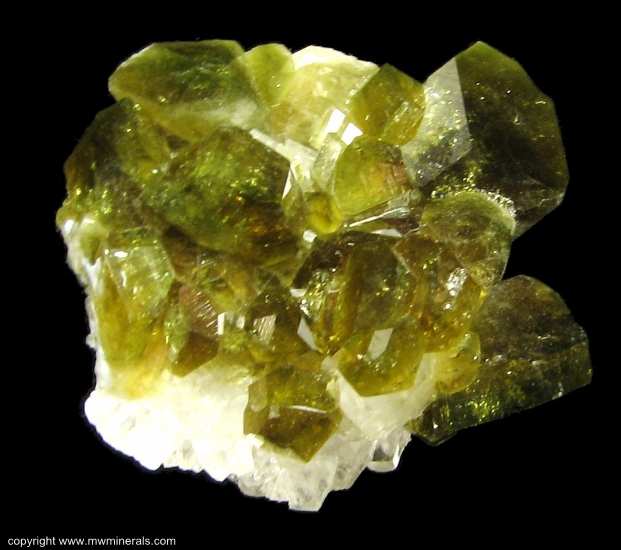 Mineral Specimen: Pleochroic Uvite Tourmaline from Brumado. Bahia, Brazil