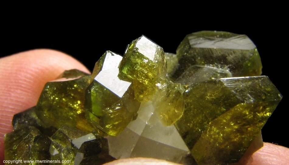 Mineral Specimen: Pleochroic Uvite Tourmaline from Brumado. Bahia, Brazil