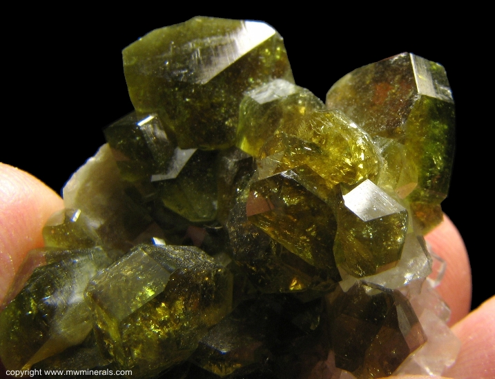 Mineral Specimen: Pleochroic Uvite Tourmaline from Brumado. Bahia, Brazil