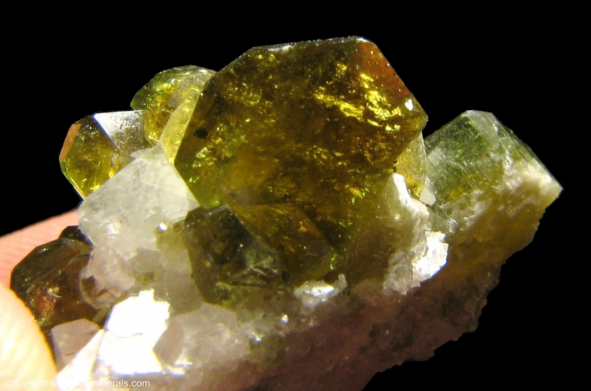 Mineral Specimen: Pleochroic Uvite Tourmaline from Brumado. Bahia, Brazil