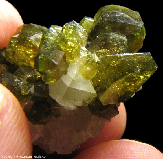 Mineral Specimen: Pleochroic Uvite Tourmaline from Brumado. Bahia, Brazil