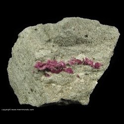 Minerals Specimen: Red Beryl on Rhyolite from Violet Claims, Wah Wah Mountains, Beaver County, Utah Minerals Specimen: Red Beryl on Rhyolite from Violet Claims, Wah Wah Mountains, Beaver County, Utah