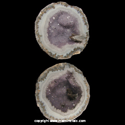 Mineral Specimen: Amethyst Coconut Geode with Calcite and Goethite from Chihuahua, Mexico Mineral Specimen: Amethyst Coconut Geode with Calcite and Goethite from Chihuahua, Mexico