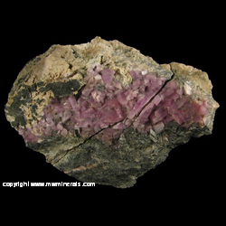 Minerals Specimen: Inesite from Hale Creek Mine, Trinity Co., California Minerals Specimen: Inesite from Hale Creek Mine, Trinity Co., California