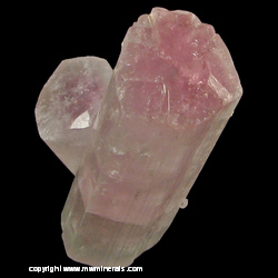 Mineral Specimen: Tourmaline from Paprock, Nuristan, Afghanistan