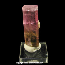 Mineral Specimen: Tourmaline from Himalaya Mine, San Diego Co., California