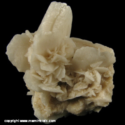 Minerals Specimen: Selenite from Baja California, Mexico Minerals Specimen: Selenite from Baja California, Mexico