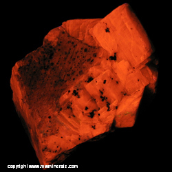 Mineral Specimen: Fluorescent Calcite, minor Franklinite from Franklin Mine, Franklin, Franklin Mining District, Sussex Co., New Jersey Mineral Specimen: Fluorescent Calcite, minor Franklinite from Franklin Mine, Franklin, Franklin Mining District, Sussex Co., New Jersey