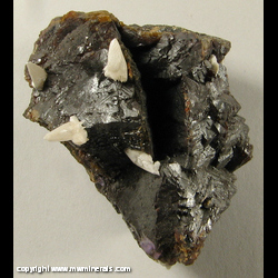 Mineral Specimen: Calcite on Sphalerite with minor Chalcopyrite and Fluorite from Cave-In-Rock, Hardin Co., Illinois Mineral Specimen: Calcite on Sphalerite with minor Chalcopyrite and Fluorite from Cave-In-Rock, Hardin Co., Illinois