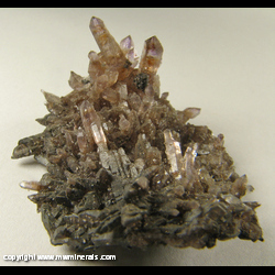 Mineral Specimen: Hematite on Quartz with Amethyst Scepter and Revserse Scepter Crystals from Chihuahua, Mexico Mineral Specimen: Hematite on Quartz with Amethyst Scepter and Revserse Scepter Crystals from Chihuahua, Mexico