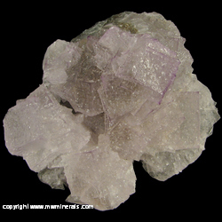 Mineral Specimen: Fluorite, Calcite from El Filo vein, Santa Librada, Mun. de Mapimi, Durango, Mexico