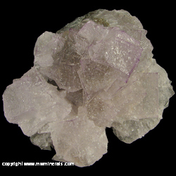 Mineral Specimen: Fluorite, Calcite from El Filo vein, Santa Librada, Mun. de Mapimi, Durango, Mexico Mineral Specimen: Fluorite, Calcite from El Filo vein, Santa Librada, Mun. de Mapimi, Durango, Mexico