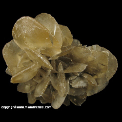 Minerals Specimen: Selenite from Colorado Springs, El Paso Co., Colorado Minerals Specimen: Selenite from Colorado Springs, El Paso Co., Colorado
