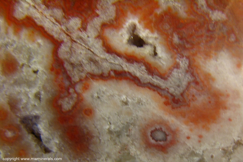 Mineral Specimen: Potato Stone Agate from Dulcote Quarry, Wells, Somerset, England