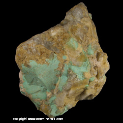 Mineral Specimen: Turquoise in Trachyte Rock from Los Cerrillos Mts, Cerrillos District, Santa Fe Co., New Mexico Mineral Specimen: Turquoise in Trachyte Rock from Los Cerrillos Mts, Cerrillos District, Santa Fe Co., New Mexico