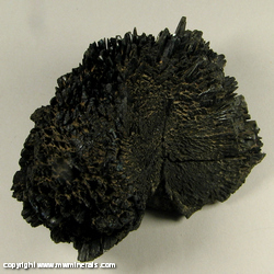 Minerals Specimen: Vivianite from Vivianite locality, Richmond (City), Virginia Minerals Specimen: Vivianite from Vivianite locality, Richmond (City), Virginia