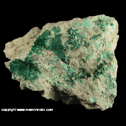 Minerals Specimen: Brochantite from Morenci Mine, Greenlee Co., Arizona Minerals Specimen: Brochantite from Morenci Mine, Greenlee Co., Arizona
