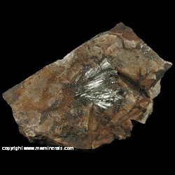 Mineral Specimen: Pyrolusite, Druze Quartz, Goethite from Taylor Iron Mine, Alberta Twp., Baraga Co., Michigan